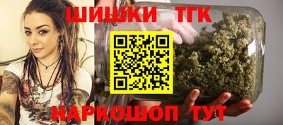 трава Сланцы
