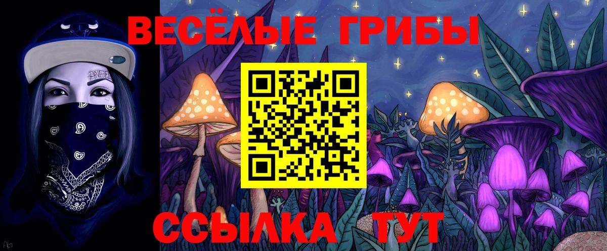 Псилоцибиновые грибы MAGIC MUSHROOMS  Вход с VPN  Чебаркуль 